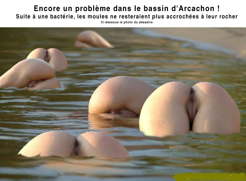 La pêche la plus réelle le jeu